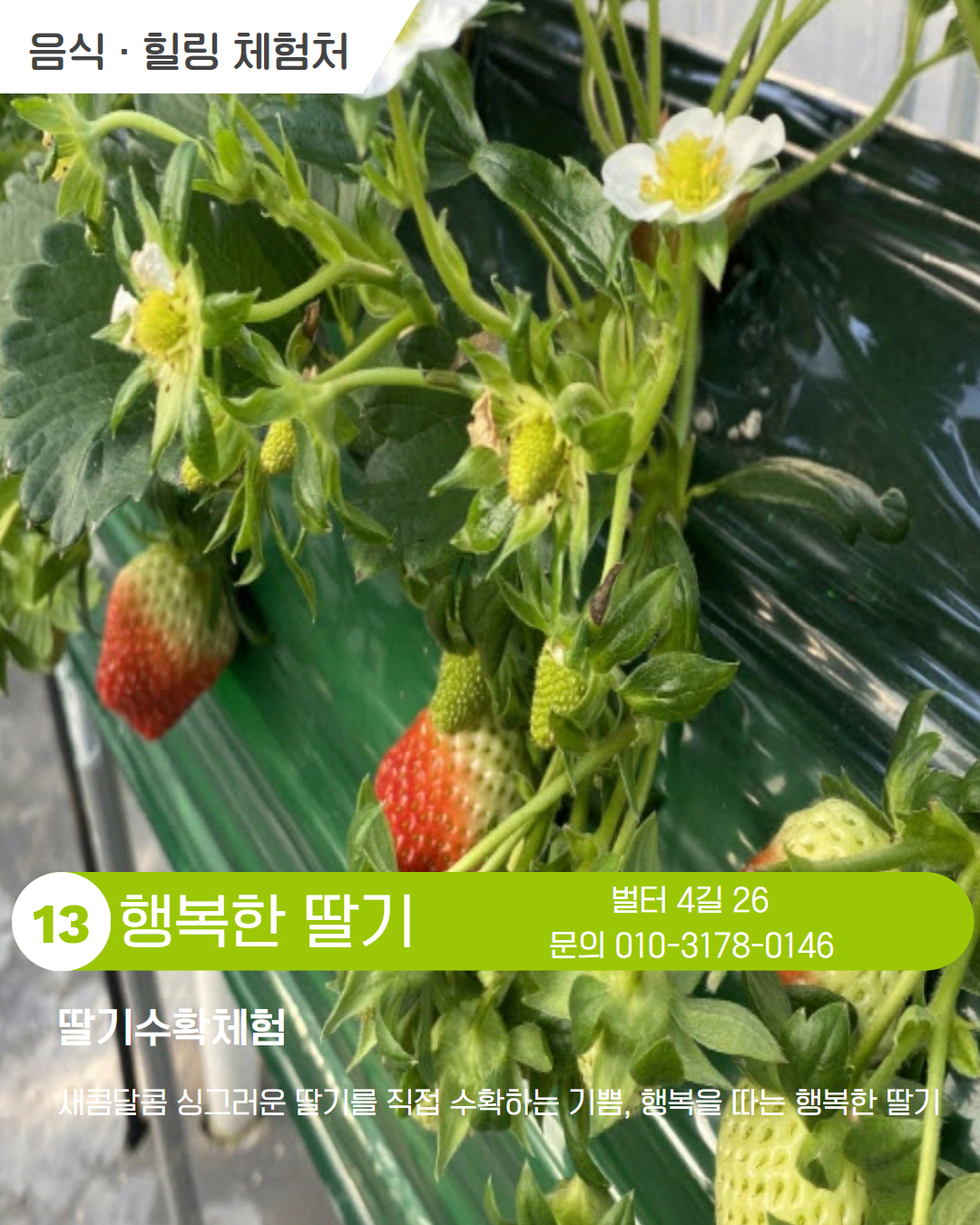 시내 권역 체험처 이미지 14