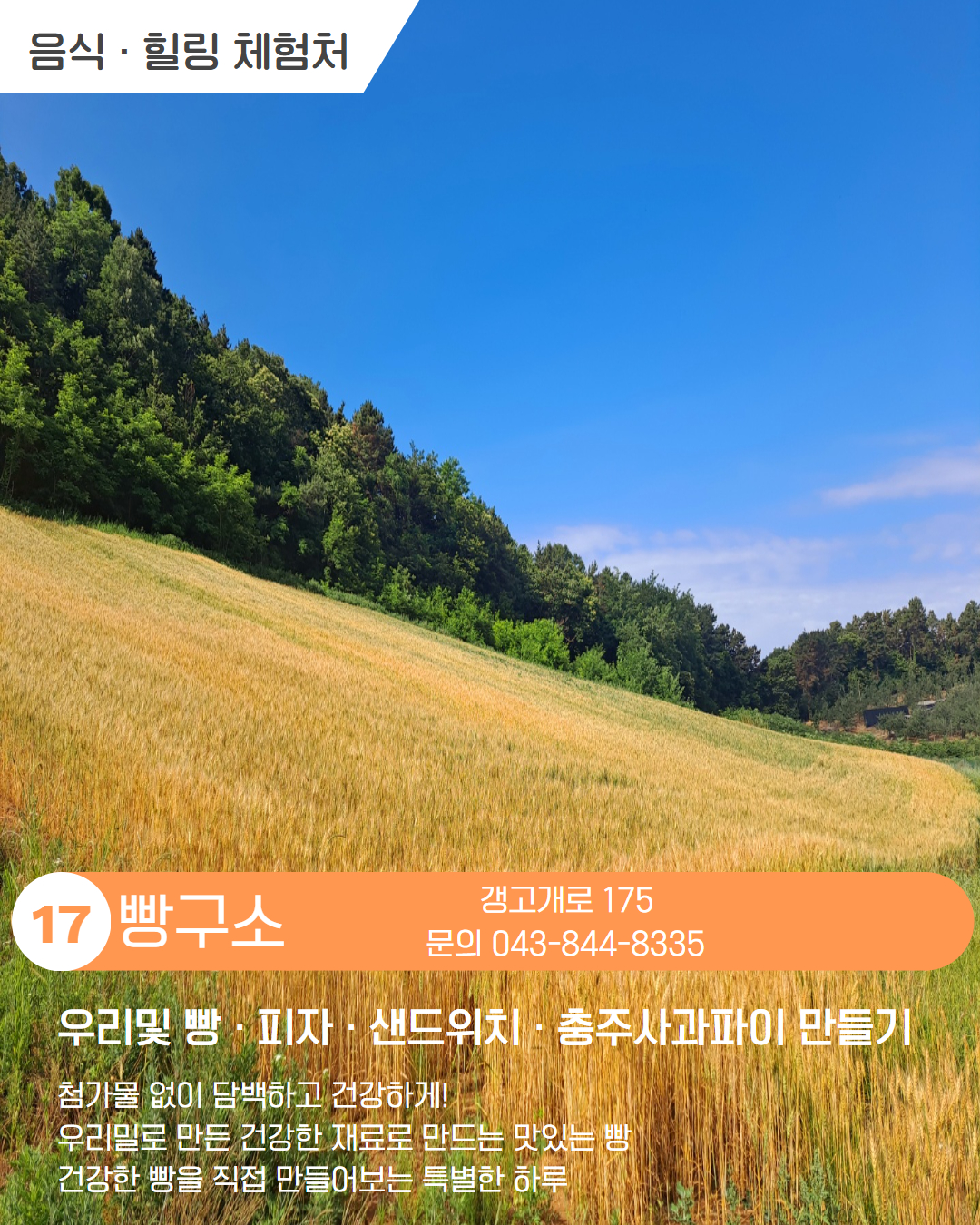 시내 권역 체험처 이미지 18