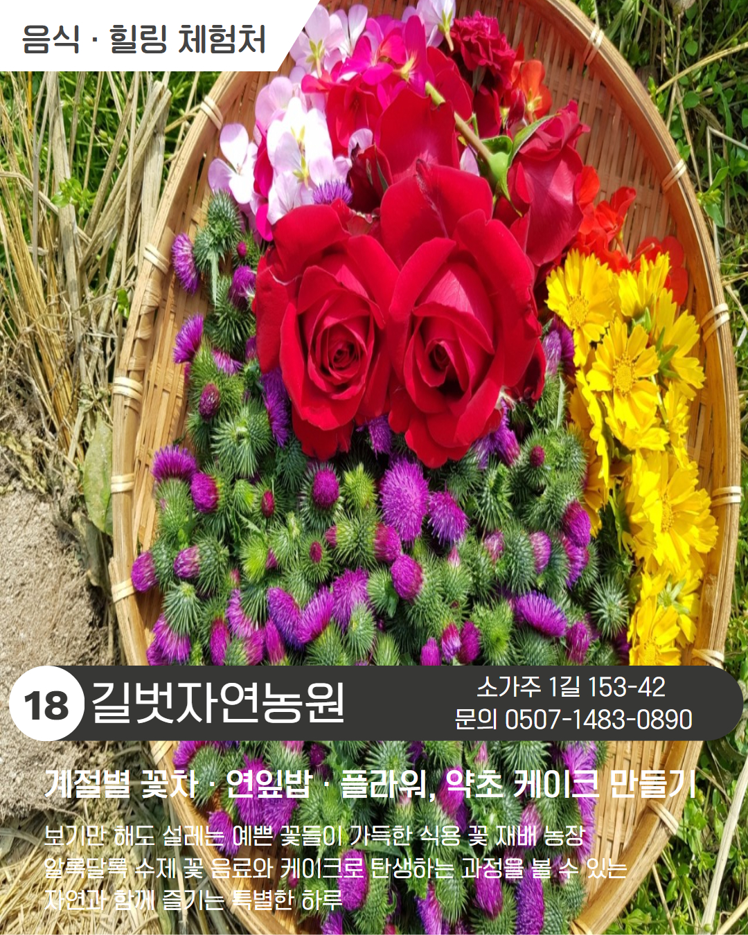 시내 권역 체험처 이미지 19