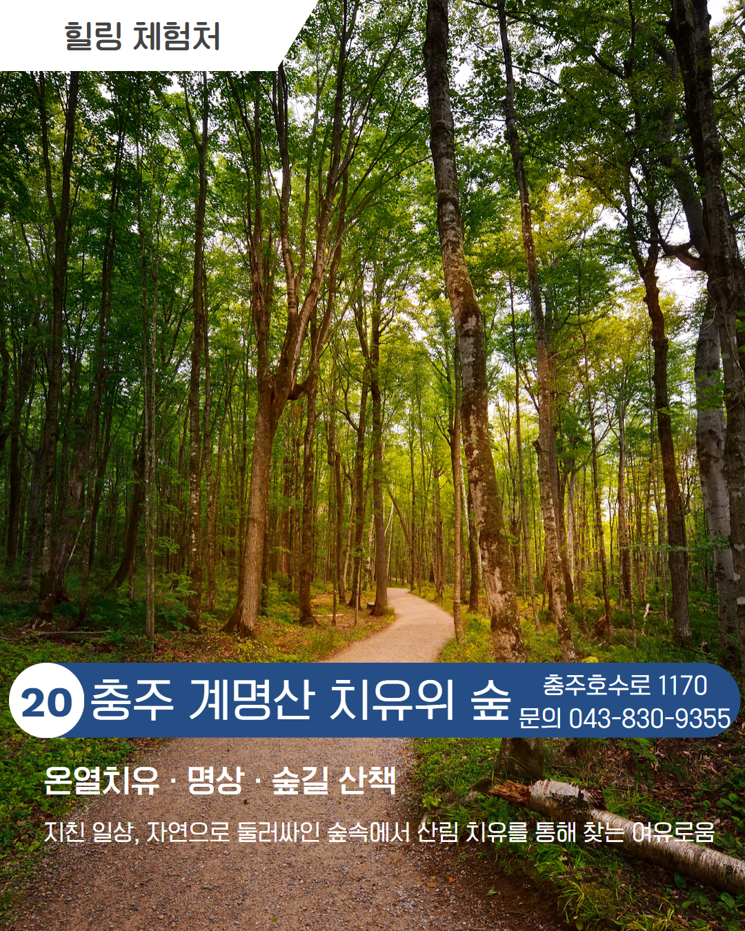 시내 권역 체험처 이미지 21