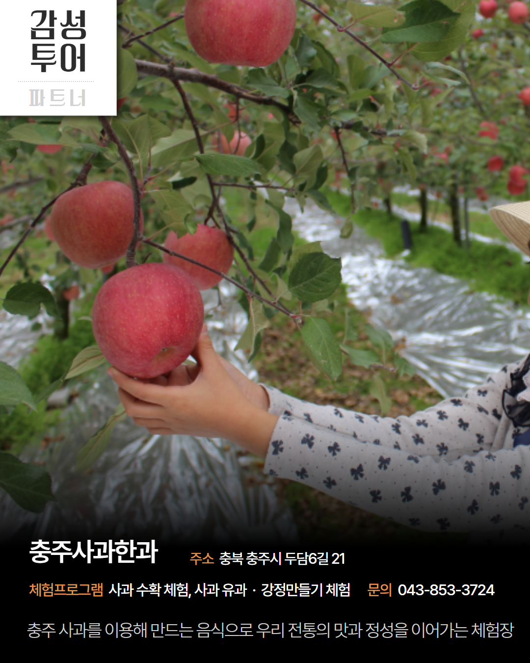 시내 권역 체험처 이미지 7