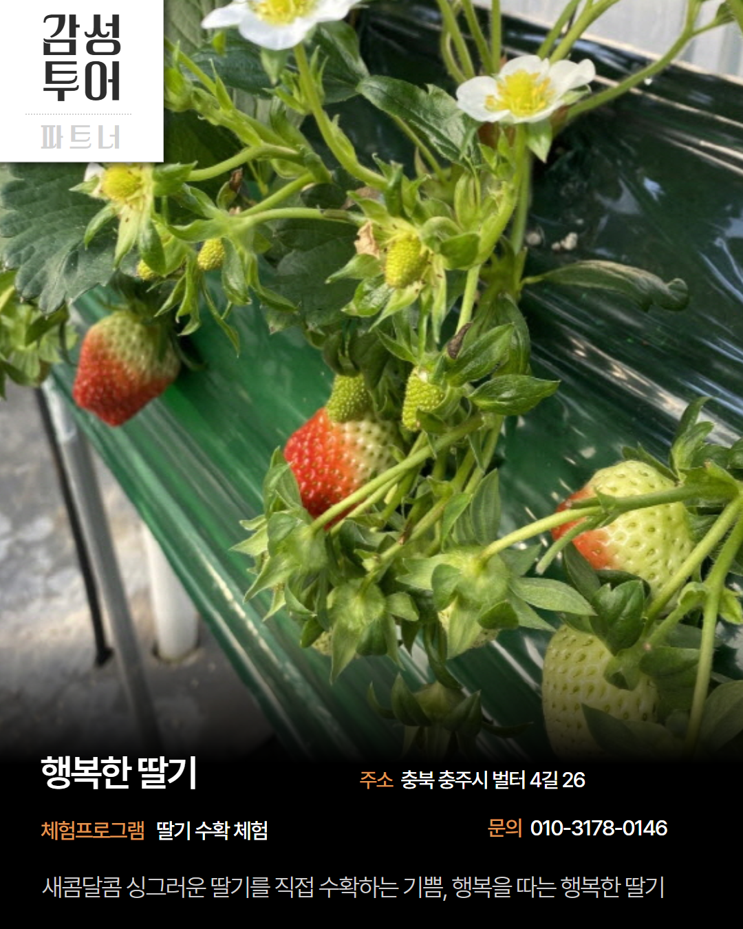 시내 권역 체험처 이미지 8