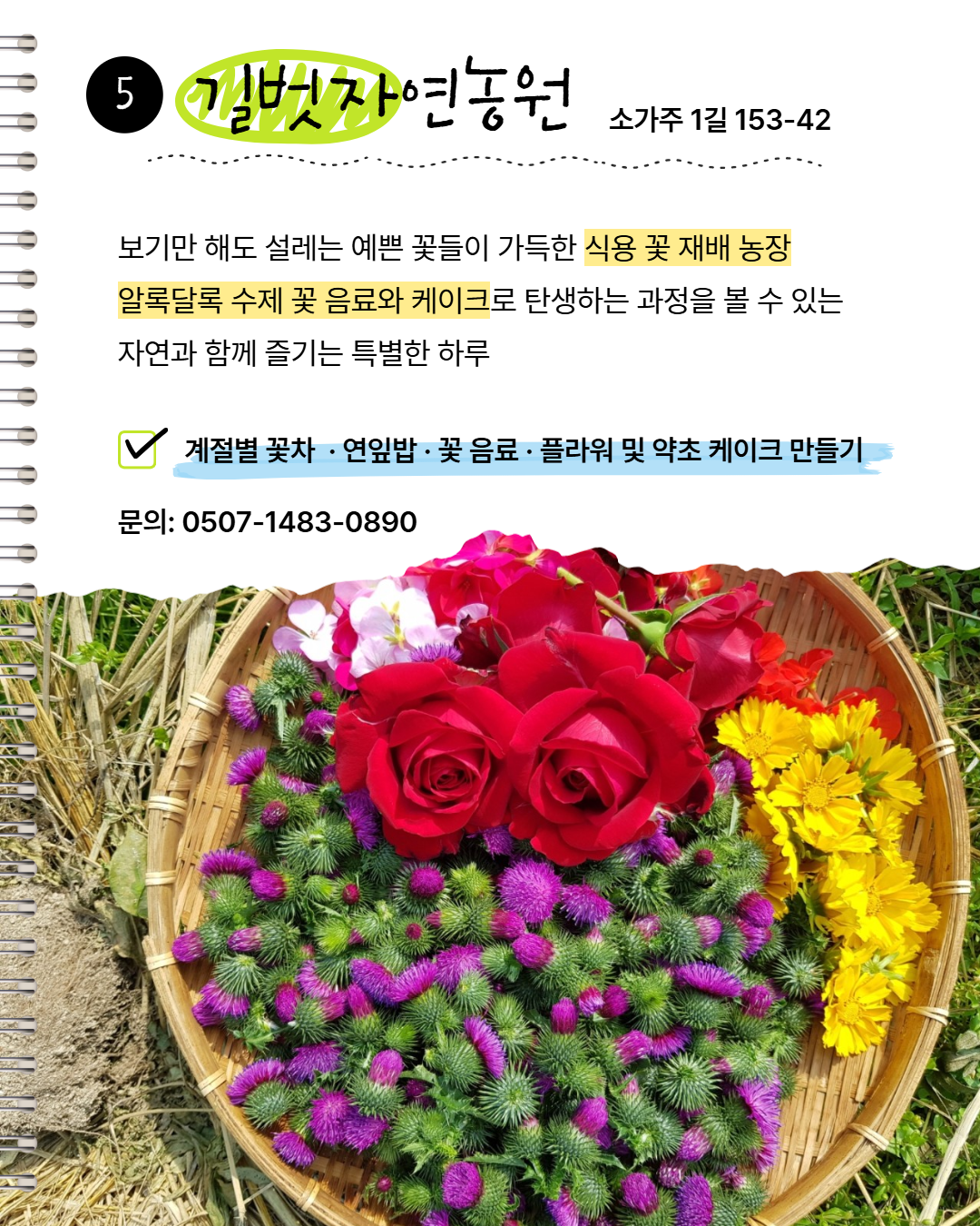 시내 권역 체험처 이미지 14