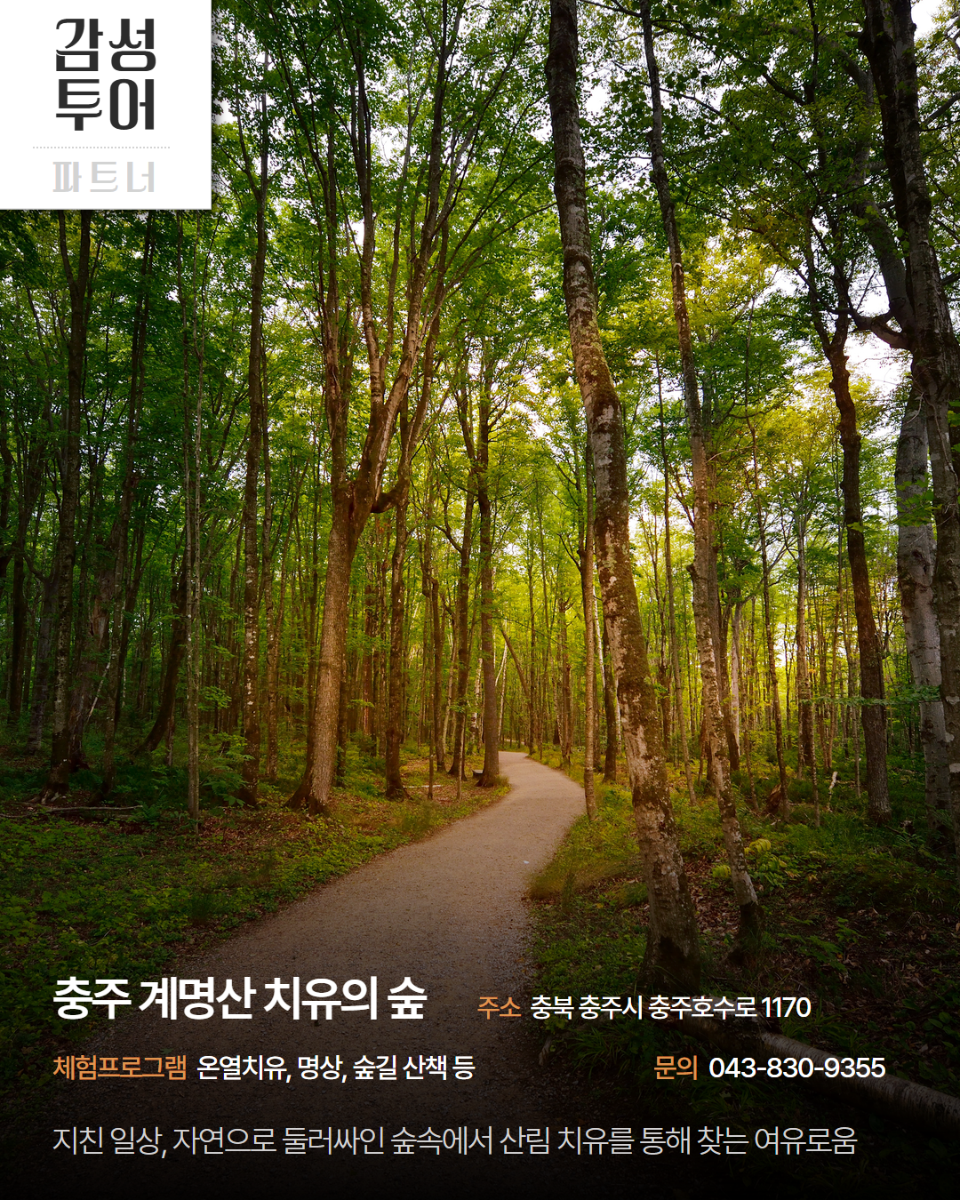 시내 권역 체험처 이미지 16