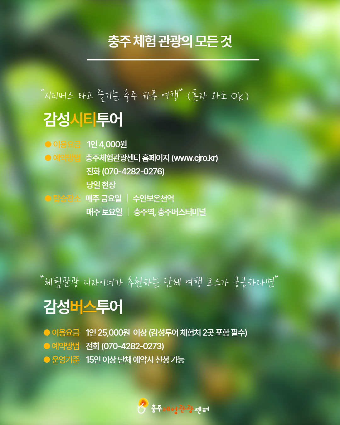 시내 권역 체험처 이미지 18