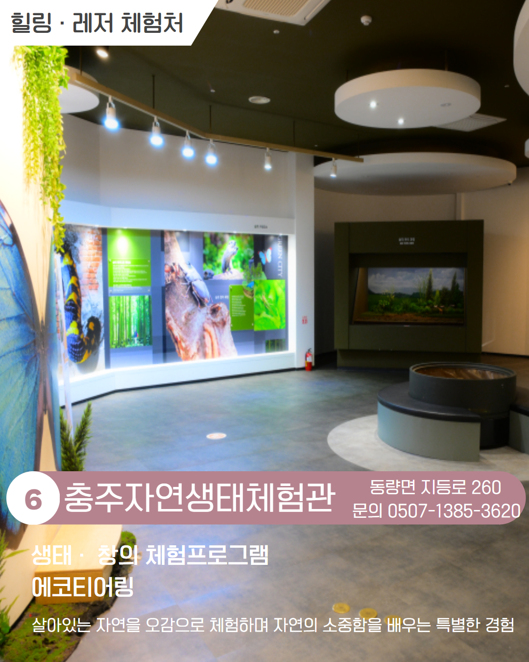 동부 권역 체험처 이미지 7