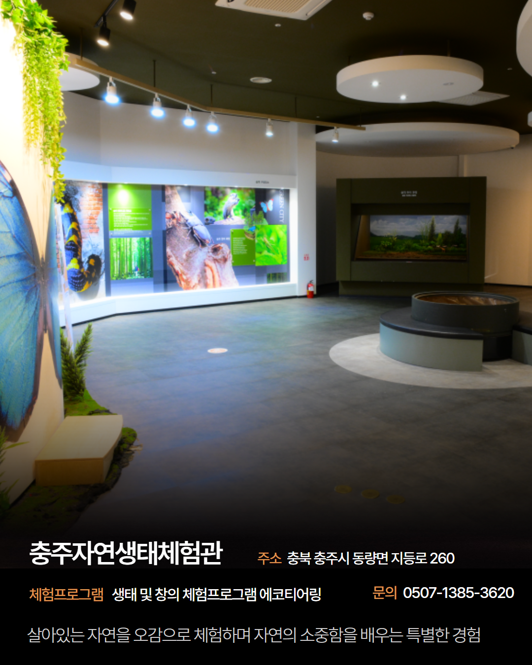 동부 권역 체험처 이미지 7