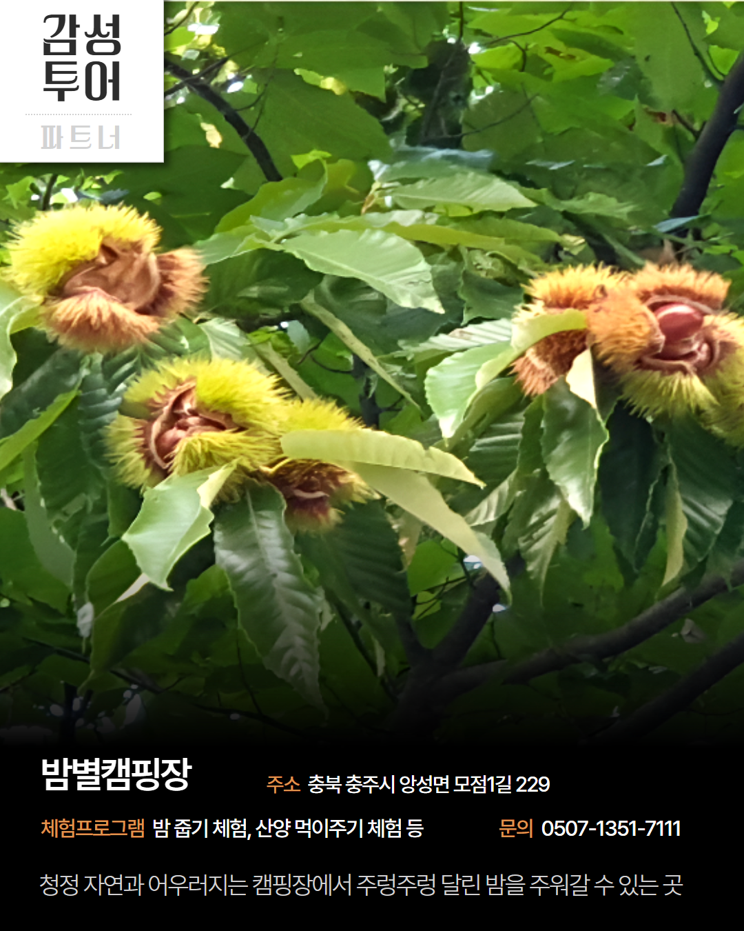 북부 권역 체험처 이미지 4