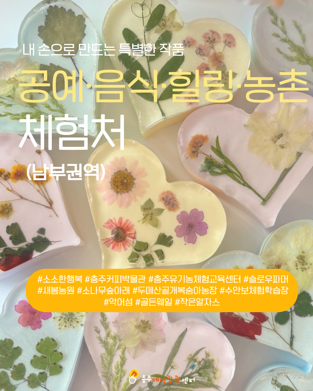 남부 권역 체험처 이미지 1