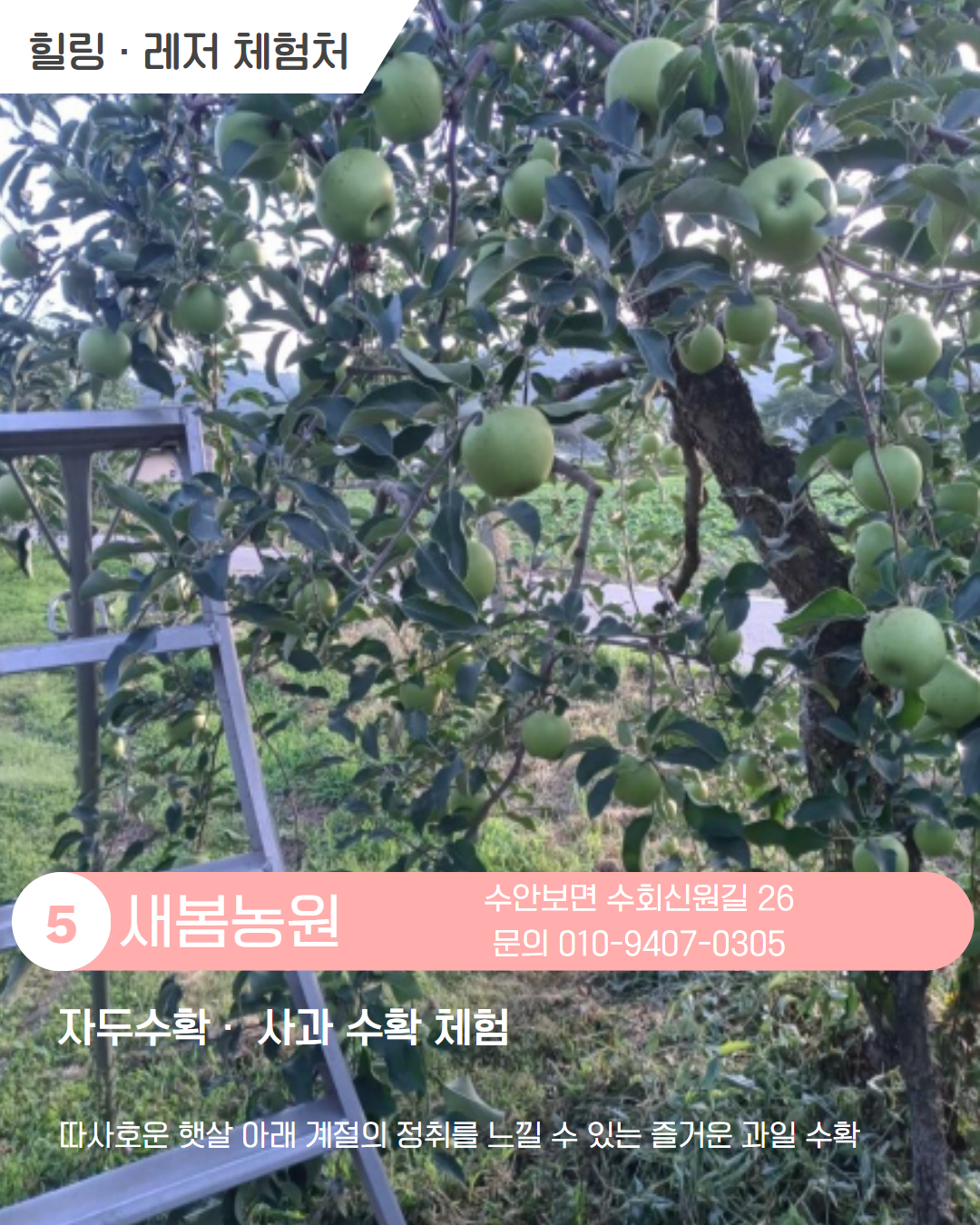 남부 권역 체험처 이미지 6