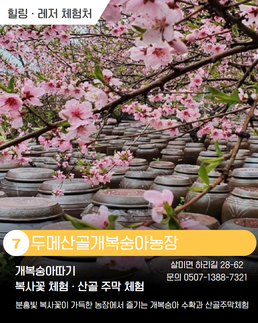 남부 권역 체험처 이미지 8