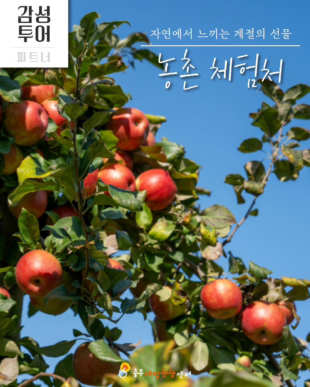 남부 권역 체험처 이미지 4