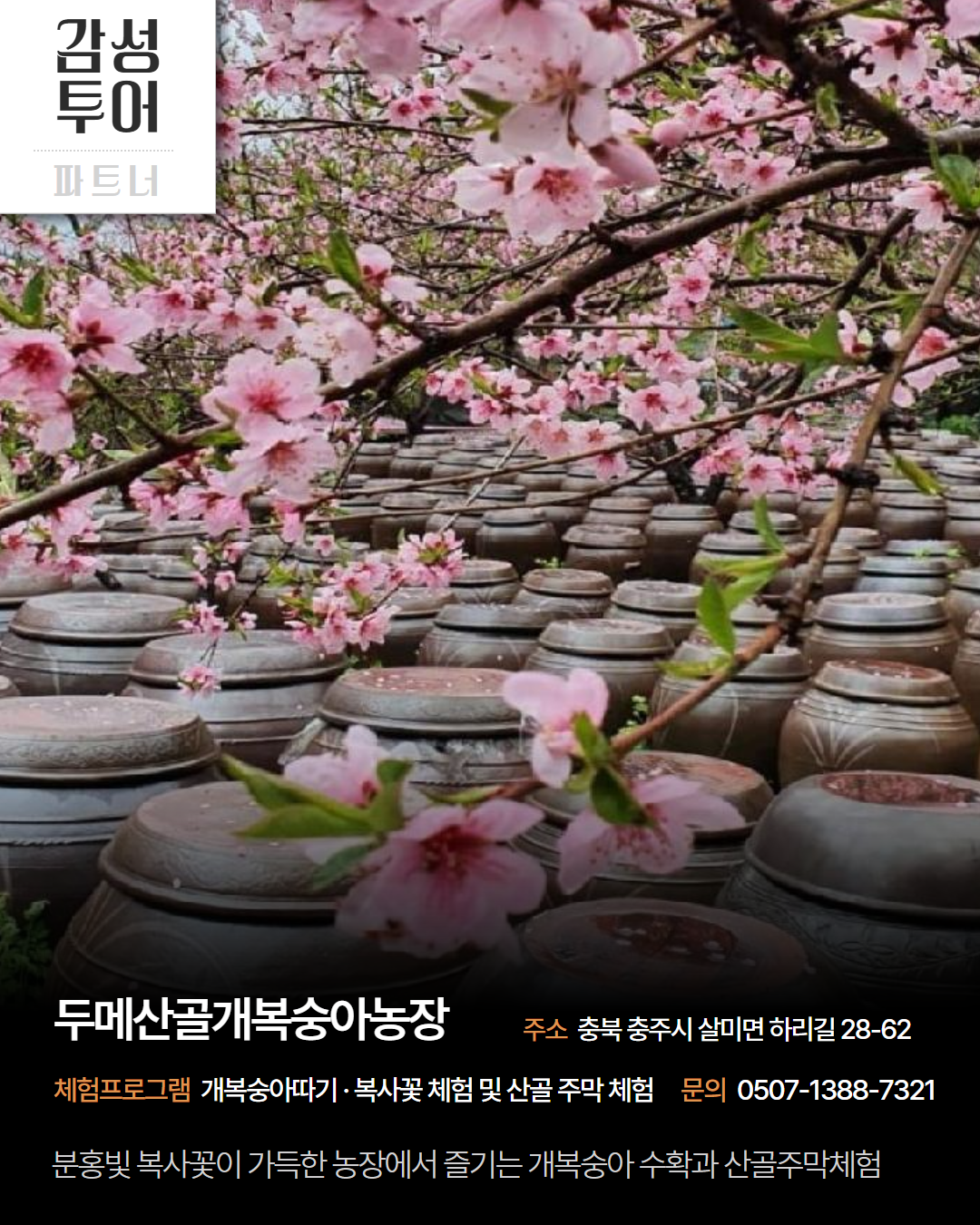 남부 권역 체험처 이미지 8