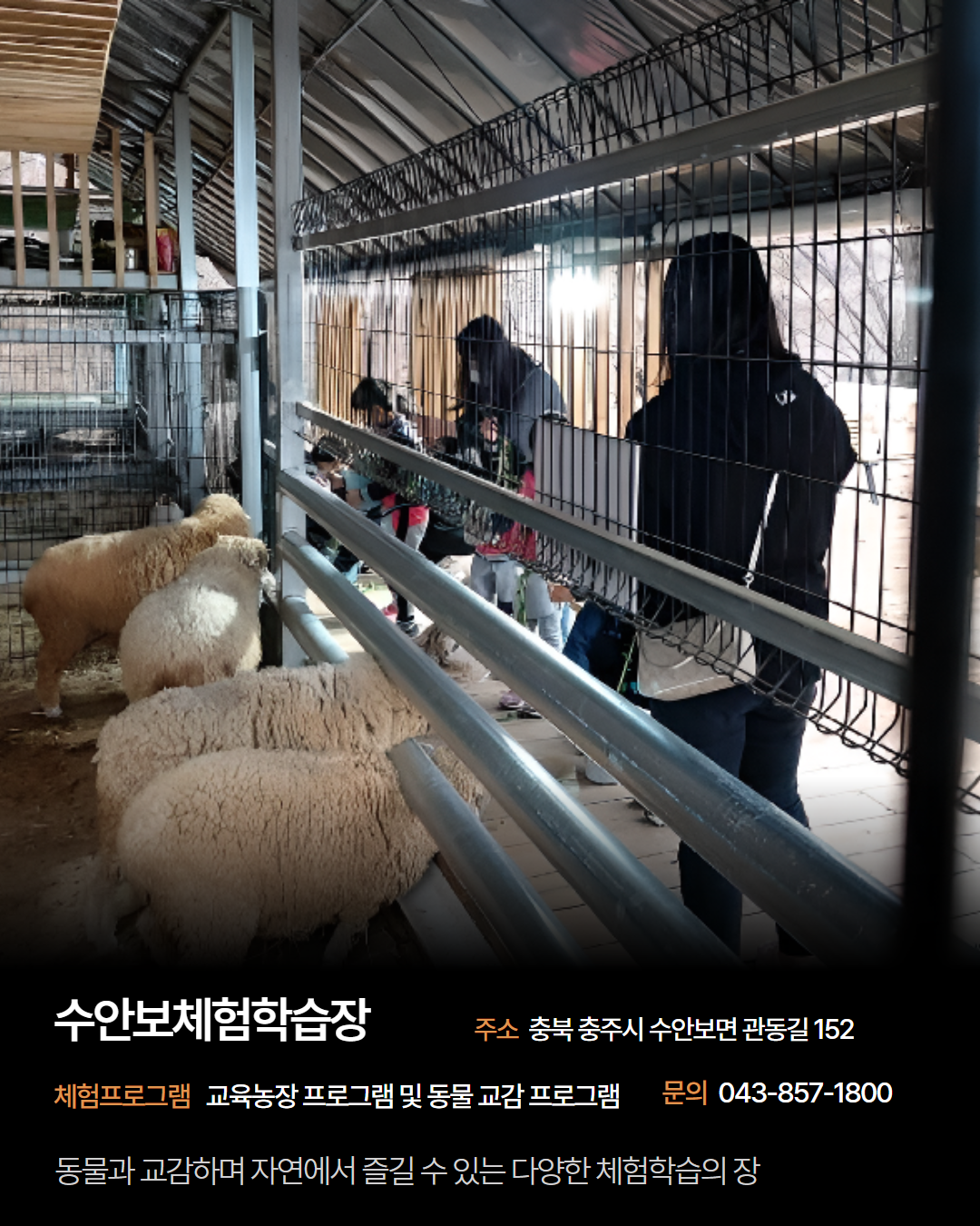 남부 권역 체험처 이미지 9