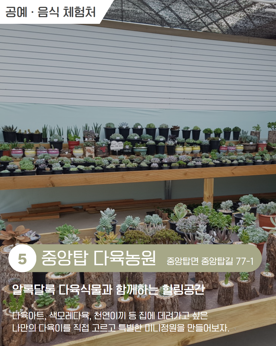 서부 권역 체험처 이미지 5